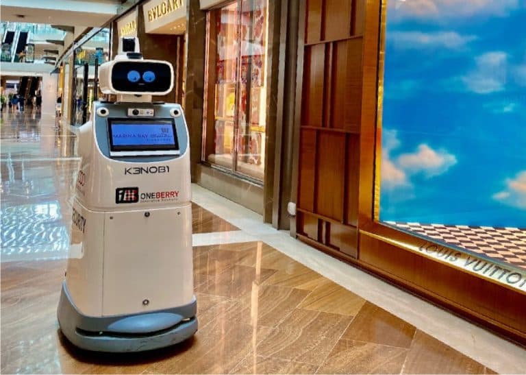 RoboGuard deployed in a commercial mall environment.